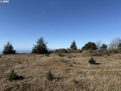Don't miss this opportunjity. Vacant Lot with Spectacular Ocean - photo 8