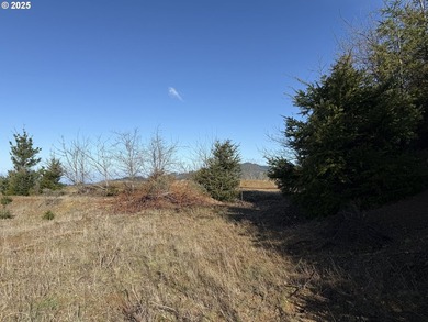Don't miss this opportunjity. Vacant Lot with Spectacular Ocean - photo 9