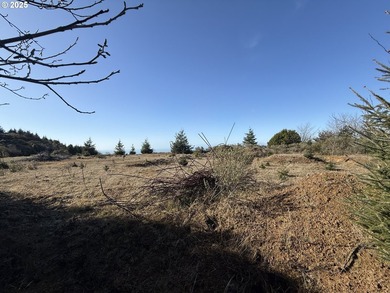 Don't miss this opportunjity. Vacant Lot with Spectacular Ocean - photo 10
