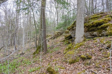 Beautifully wooded lot within a short distance to Waterview - photo 5