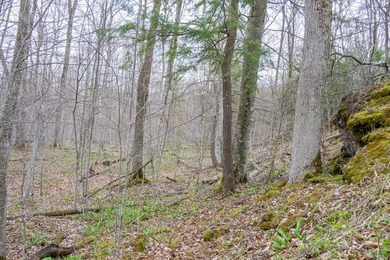Beautifully wooded lot within a short distance to Waterview - photo 6