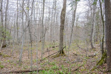Beautifully wooded lot within a short distance to Waterview - photo 9