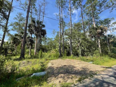 Wakulla River Lot For Sale in St. Marks Florida
