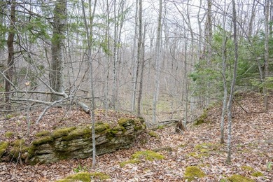 Beautifully wooded lot within a short distance to Waterview - photo 7