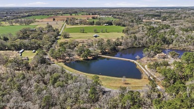 Opportunity to own a true legacy property. Resort style pool - photo 6