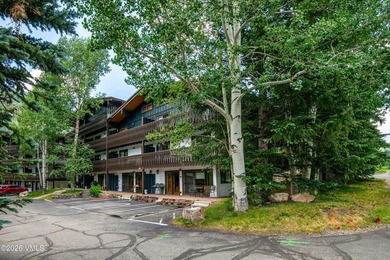 Experience the ultimate turn-key mountain lifestyle in this - photo 26
