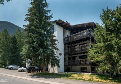 Experience the ultimate turn-key mountain lifestyle in this - photo 27