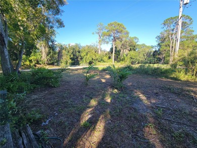 Discover the charm of *Old Florida* living with this unique - photo 36