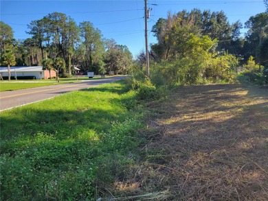 Discover the charm of *Old Florida* living with this unique - photo 37