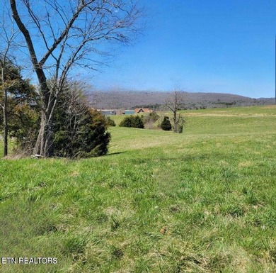 Welcome to Lot 266 on Russell Brothers Rd--a 1.14-acre luxury - photo 4