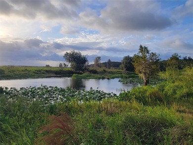 Discover the charm of *Old Florida* living with this unique - photo 49