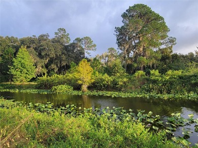 Discover the charm of *Old Florida* living with this unique - photo 50