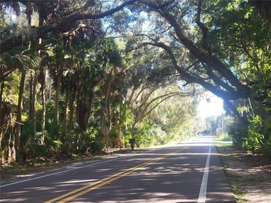Discover the charm of *Old Florida* living with this unique - photo 58