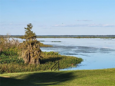 Discover the charm of *Old Florida* living with this unique - photo 60