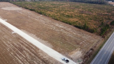 Lake Marion Acreage For Sale in Cross South Carolina