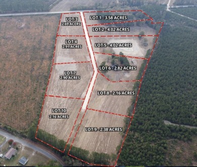 Lake Marion Acreage For Sale in Cross South Carolina