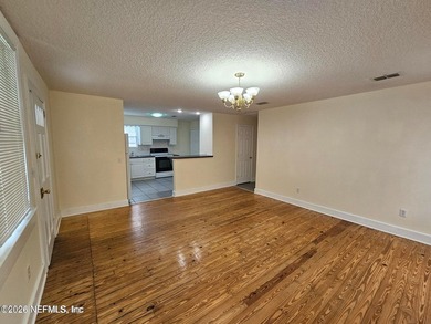 Rare opportunity in South San Marco, enjoy the privacy of a - photo 3
