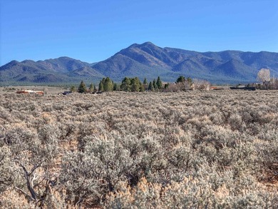 Taos Country Club land at an unbeatable price. Yes, really!! Lot - photo 13