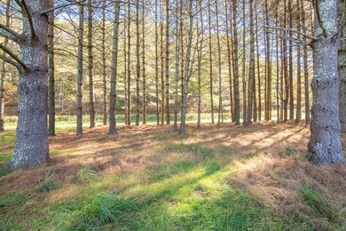 Experience the ultimate riverside retreat on this premier 5-acre - photo 16