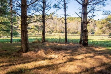 Experience the ultimate riverside retreat on this premier 5-acre - photo 17