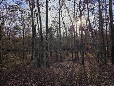 Lake Lot For Sale in Hot Springs Village, Arkansas