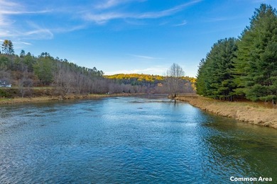 Experience the ultimate riverside retreat on this premier 5-acre - photo 26