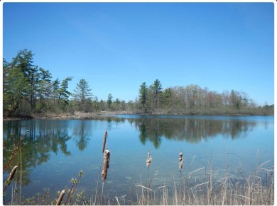Lake Lot For Sale in Greenville, Michigan