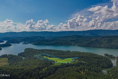 What a property and what an opportunity!!! This tract is perfect - photo 12