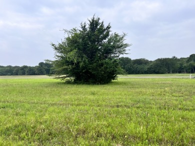 Lot 391 Polaris Drive - Lake Lot For Sale in Corsicana, Texas