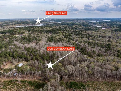 BUYERS OR BUILDERS ! Come build your dream home and have privacy - Lake Lot For Sale in Eatonton, Georgia