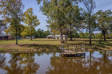 Lake Home For Sale in Doddridge, Arkansas