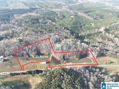 Lake Acreage For Sale in Roanoke, Alabama
