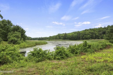 Lake Acreage For Sale in New Marlborough, Massachusetts