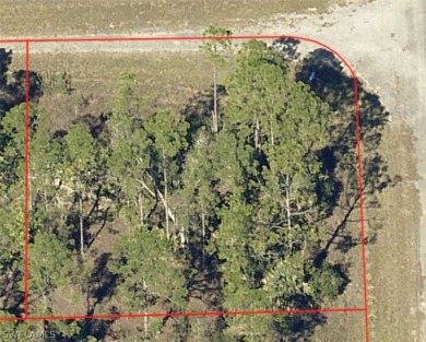 Lehigh Acres Area Lot For Sale in Lehigh Acres Florida