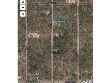 Bonable Lake Lot For Sale in Dunnellon Florida