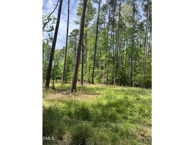 Hard to find 2.21 acre lot near Mayo Lake with improvements - photo 12