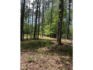 Hard to find 2.21 acre lot near Mayo Lake with improvements - photo 13