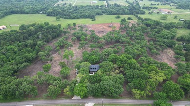 Discover your own slice of Texas tranquility on this stunning 11 - photo 5