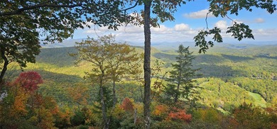 This home has been lovingly maintained and enjoyed. The Gerard - photo 41