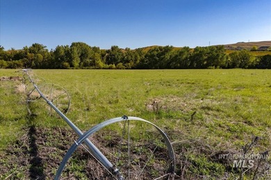 Rare opportunity to own one of the largest undeveloped parcels - photo 3