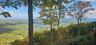 This home has been lovingly maintained and enjoyed. The Gerard - photo 45
