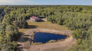Lake Home For Sale in Au Gres, Michigan