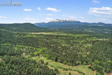(private lake, pond, creek) Acreage Sale Pending in Woodland Park Colorado