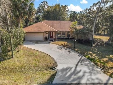 Lake Monroe Home For Sale in Enterprise Florida