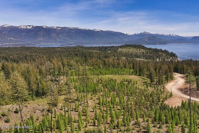 Estate Lot 16 at Camp Bay offers an extraordinary opportunity to - photo 12