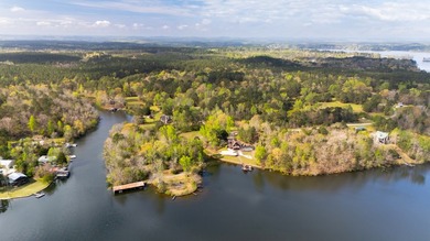 PUBLIC ONLINE AUCTION - 90 plus acres located on Lay Lake in - photo 13
