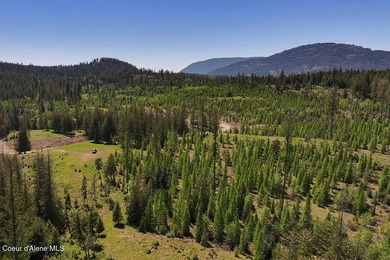 Estate Lot 16 at Camp Bay offers an extraordinary opportunity to - photo 15