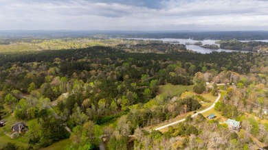 PUBLIC ONLINE AUCTION - 90 plus acres located on Lay Lake in - photo 15