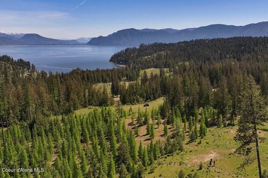 Estate Lot 16 at Camp Bay offers an extraordinary opportunity to - photo 16