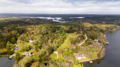 PUBLIC ONLINE AUCTION - 90 plus acres located on Lay Lake in - photo 17